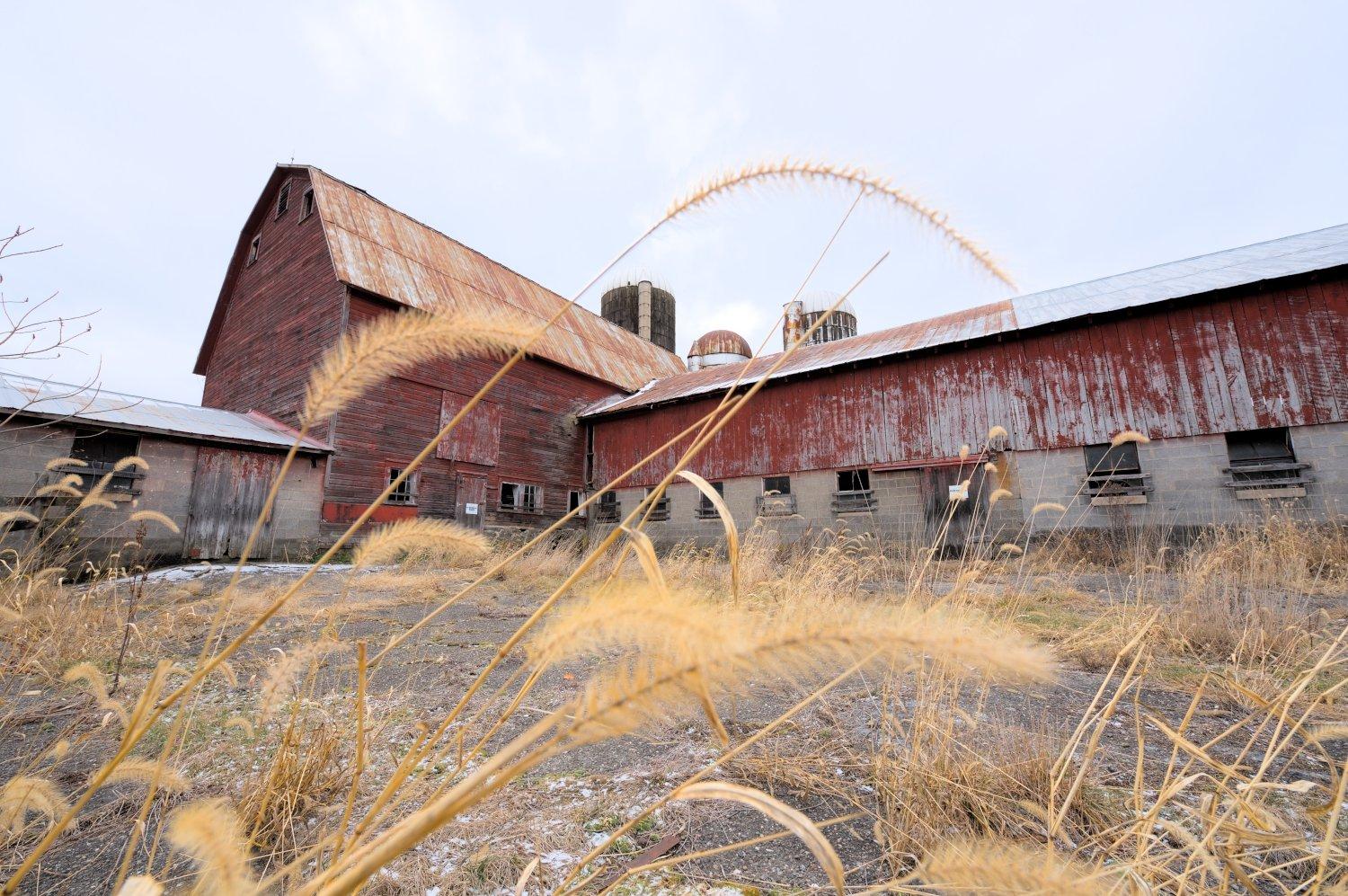 Miller Mountain Farmstead